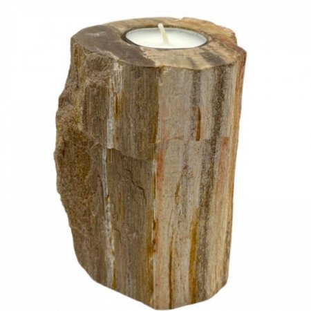 (image for) Petrified Wood Candle Holder - Single Tall