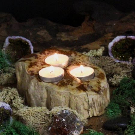 (image for) Petrified Wood Candle Holder - Triple