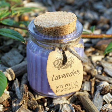 (image for) Lavender Soy Pot of Fragrance Candles
