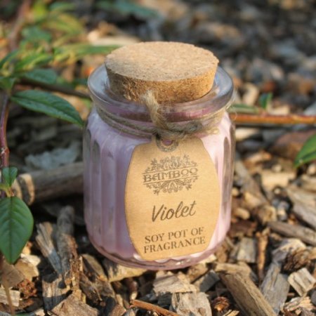 (image for) Violet Soy Pot of Fragrance Candles