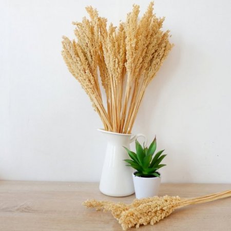 (image for) Cantal Grass Bunch - Natural