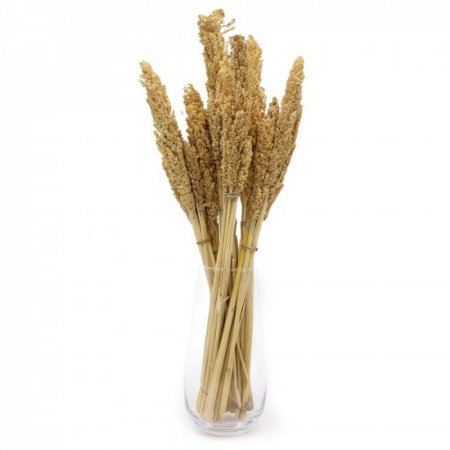 (image for) Cantal Grass Bunch - Natural