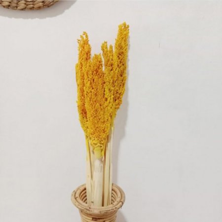(image for) Cantal Grass Bunch - Amber