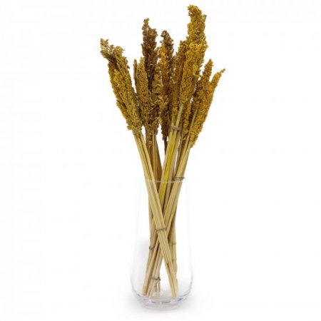 (image for) Cantal Grass Bunch - Amber