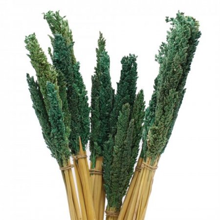 (image for) Cantal Grass Bunch - Teal