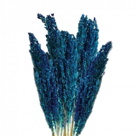 (image for) Cantal Grass Bunch - Blue