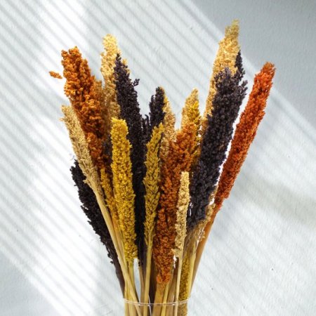 (image for) Cantal Grass Bunch - Black