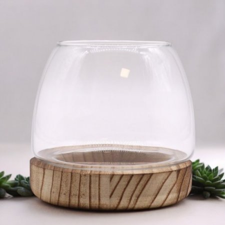 (image for) Small Terrarium on Natural Tung Wood