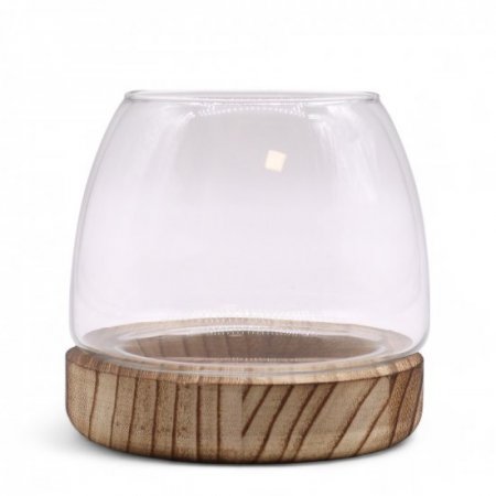 (image for) Small Terrarium on Natural Tung Wood