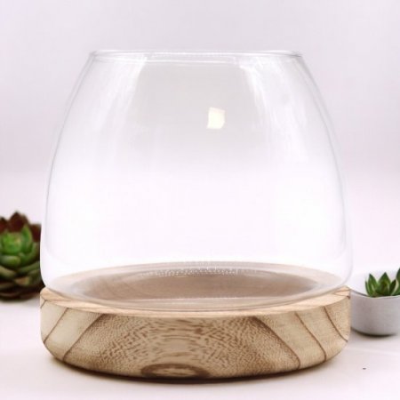 (image for) Medium Terrarium on Natural Tung Wood