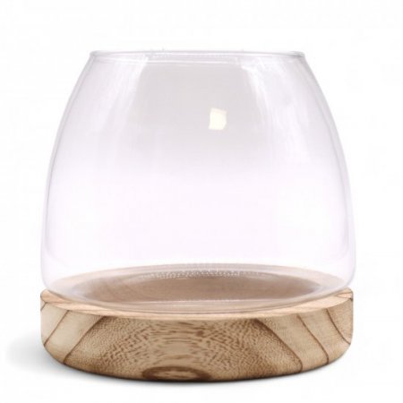 (image for) Medium Terrarium on Natural Tung Wood
