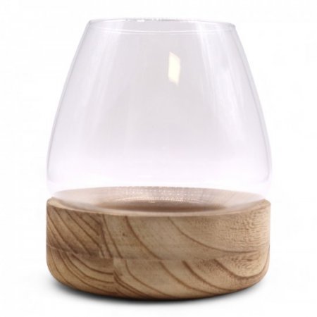 (image for) Large Terrarium on Natural Tung Wood