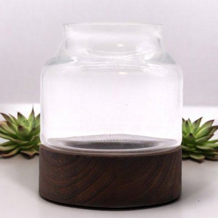 (image for) Small Shaped Terrarium on Dark Tung Wood