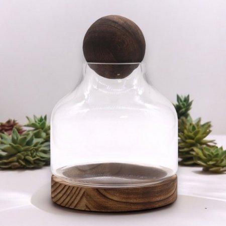 (image for) Medium Ball Top Terrarium on Dark Tung Wood
