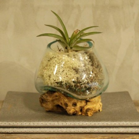 (image for) Molten Glass on Wood - Small Bowl