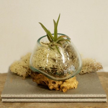 (image for) Molten Glass on Wood - Small Bowl