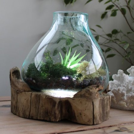 (image for) Molten Glass Large Fish Tank 3.7 litre (with light cavity)- 30cm