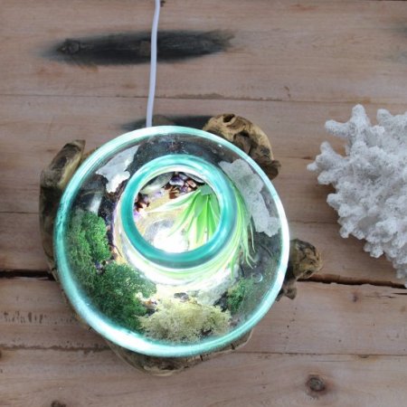 (image for) Molten Glass Large Fish Tank 3.7 litre (with light cavity)- 30cm