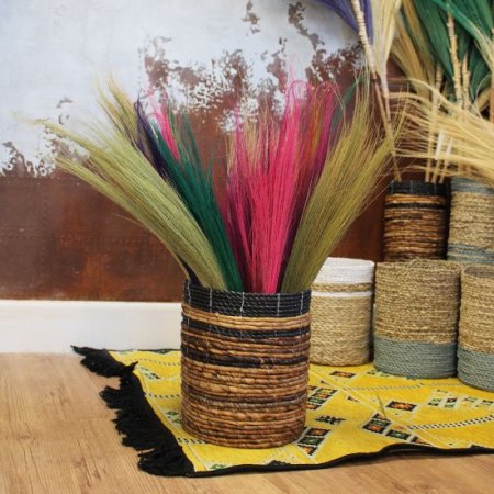 (image for) Set 4 - Pampas Long Broom - Vivid colours