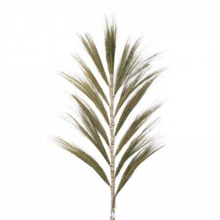 (image for) Rayung Grass Natural - 1.6m