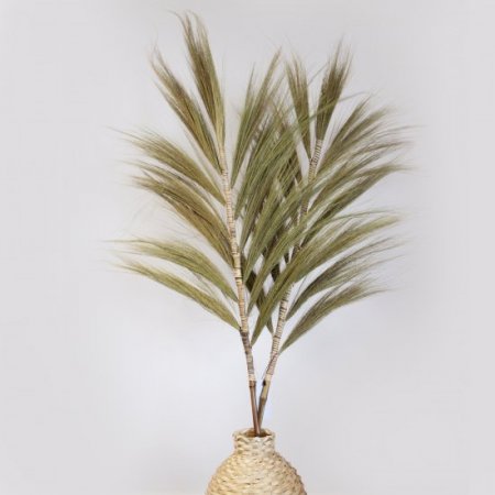 (image for) Rayung Grass Natural - 1.6m