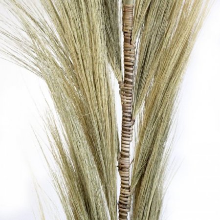 (image for) Rayung Grass Blond - 1.6m