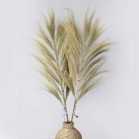 (image for) Rayung Grass Blond - 1.6m