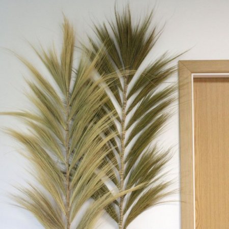 (image for) Rayung Grass Natural - 2m