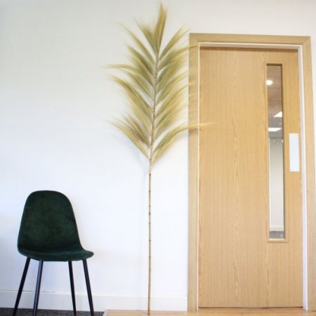 (image for) Rayung Grass Blond - 2m