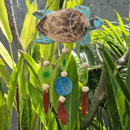 (image for) Aqua Turtle Carving and Copis Drop