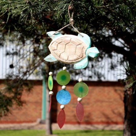 (image for) Aqua Turtle Carving and Copis Drop