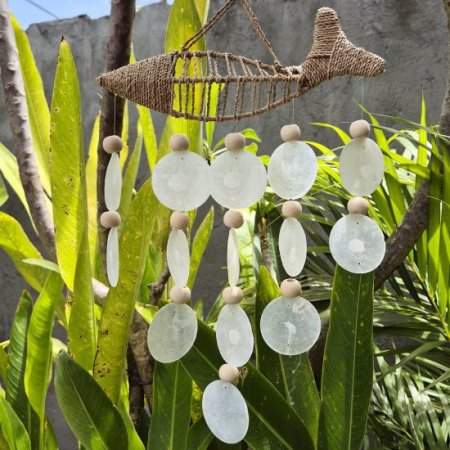 (image for) String Fish and Natural Copis Drop