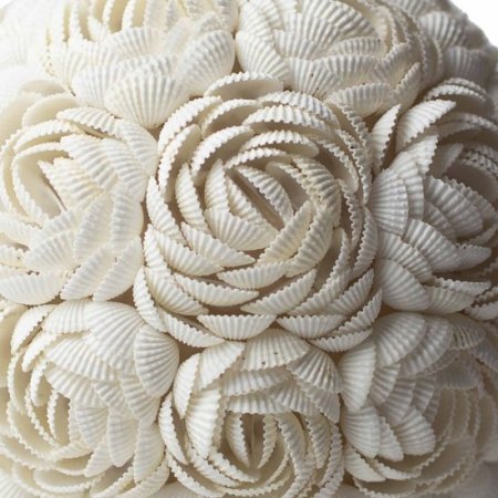 (image for) Boho Sea Shell Lamp - Rose Oval - 20cm