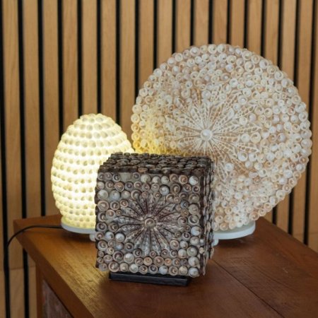 (image for) Boho Sea Shell Lamp - Cut Art Shell Oval - 15cm