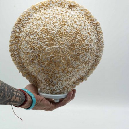 (image for) Boho Sea Shell Lamp - Cut Art Shell Large Round - 30cm