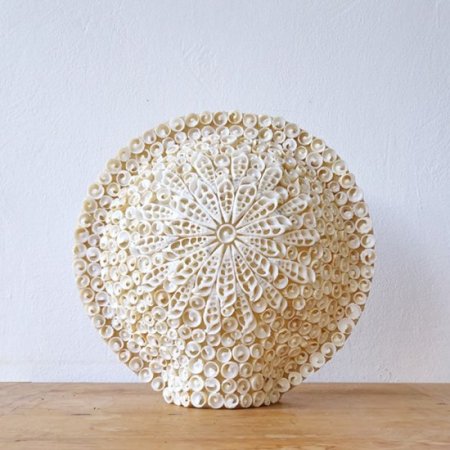 (image for) Boho Sea Shell Lamp - Cut Art Shell Large Round - 30cm