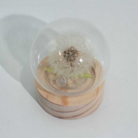 (image for) Floral Glow Garden Dome - 1 Dandilion- LED Battery