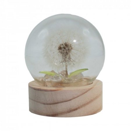 (image for) Floral Glow Garden Dome - 1 Dandilion- LED Battery