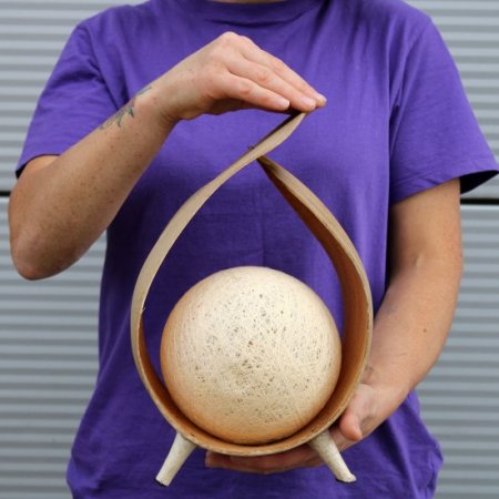 (image for) Natural Coconut Lamp - Natural Loop