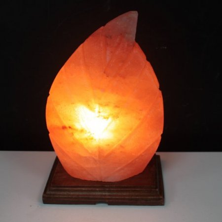 (image for) Shape Salt Lamp - Fern