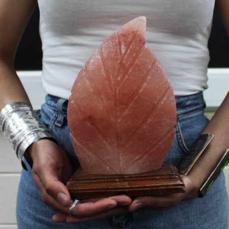 (image for) Shape Salt Lamp - Fern