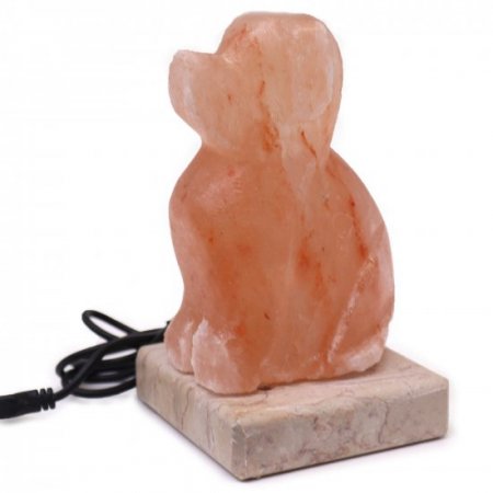 (image for) USB Dog Shaped (Multi)