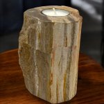 (image for) Petrified Wood Candle Holder - Single Tall