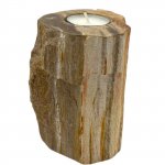 (image for) Petrified Wood Candle Holder - Single Tall