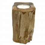 (image for) Petrified Wood Candle Holder - Single Tall