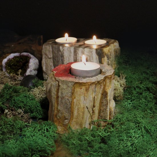(image for) Petrified Wood Candle Holder - Single Tall
