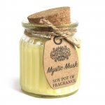 (image for) Mystic Musk Soy Pot of Fragrance Candles