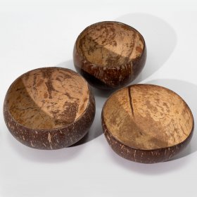 Small Natural Coconut Bowl Small Natural Coconut Bowl
