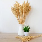 (image for) Cantal Grass Bunch - Natural