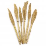 (image for) Cantal Grass Bunch - Natural